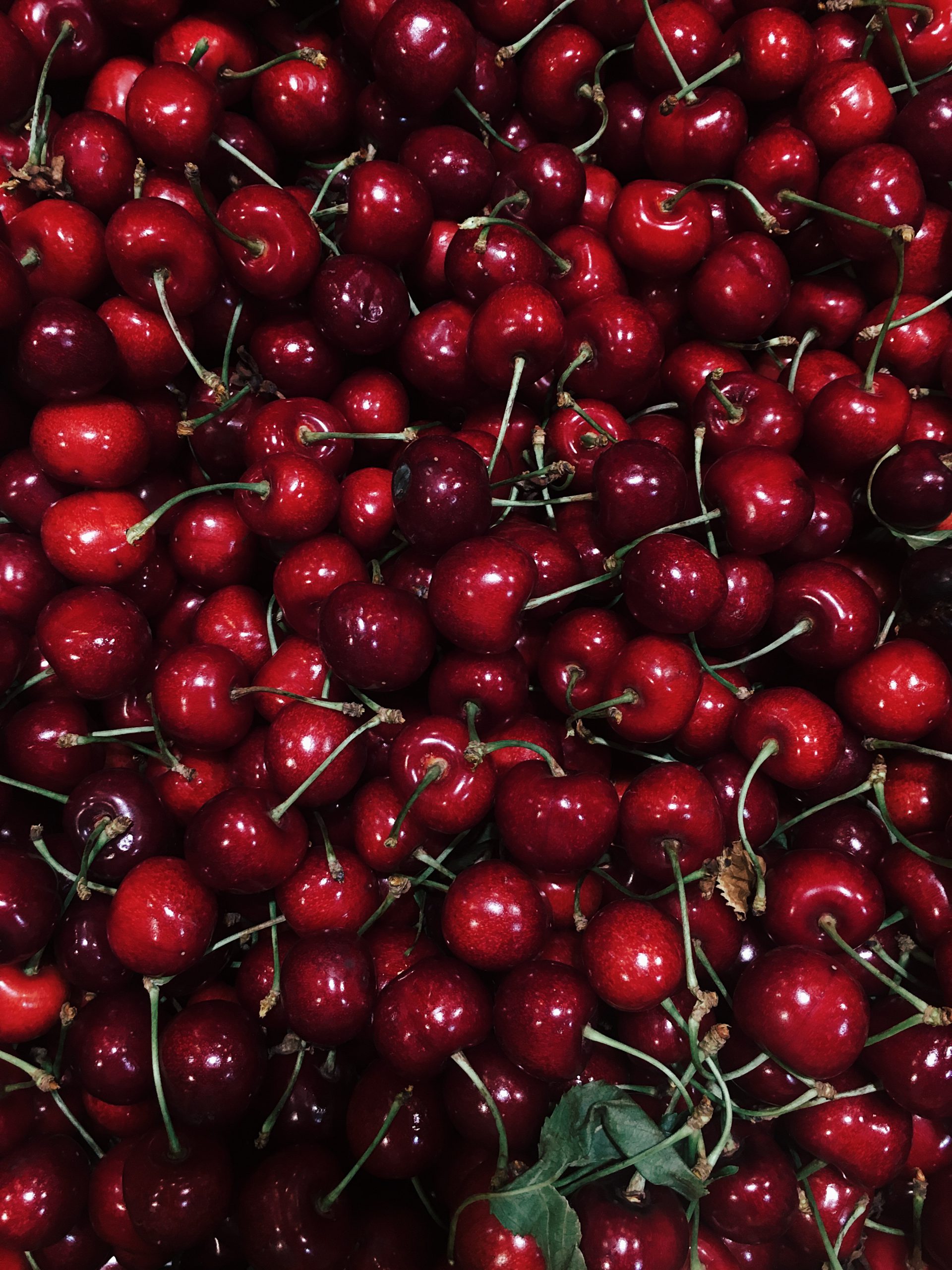 Pile of Picked Cherries with stems